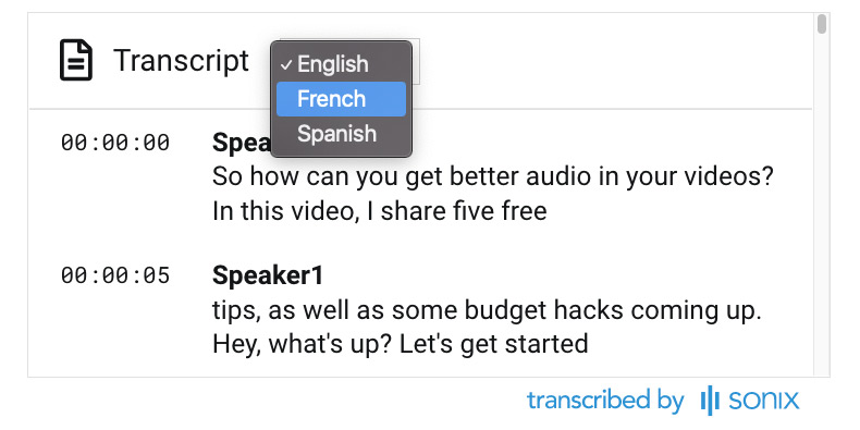 AI Transcription, Subtitles, & Translation