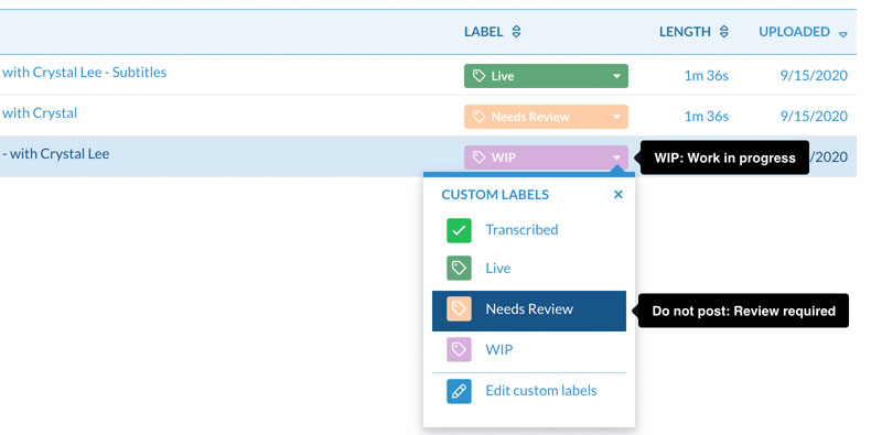 Custom labels and tags for transcripts