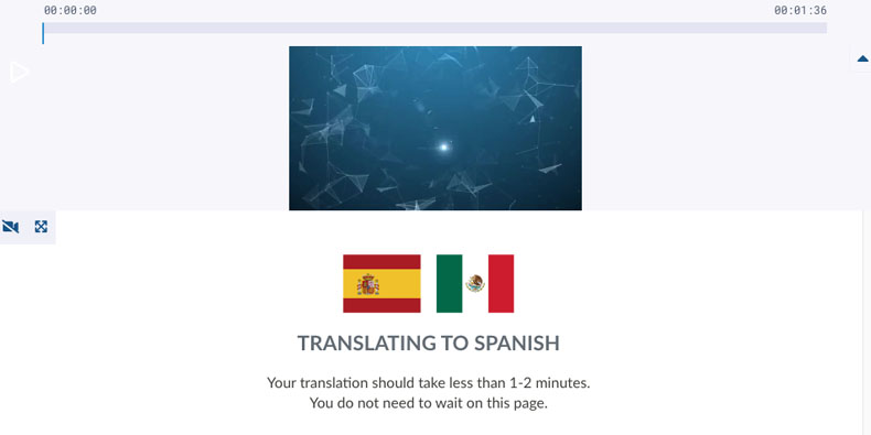 Sonix in-browser translation editor